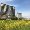 クレアガーデン伏見桃山 その他画像