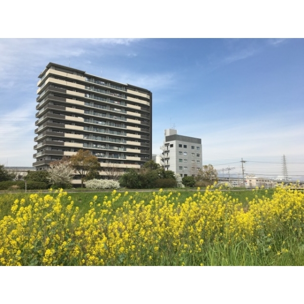 クレアガーデン伏見桃山 その他画像