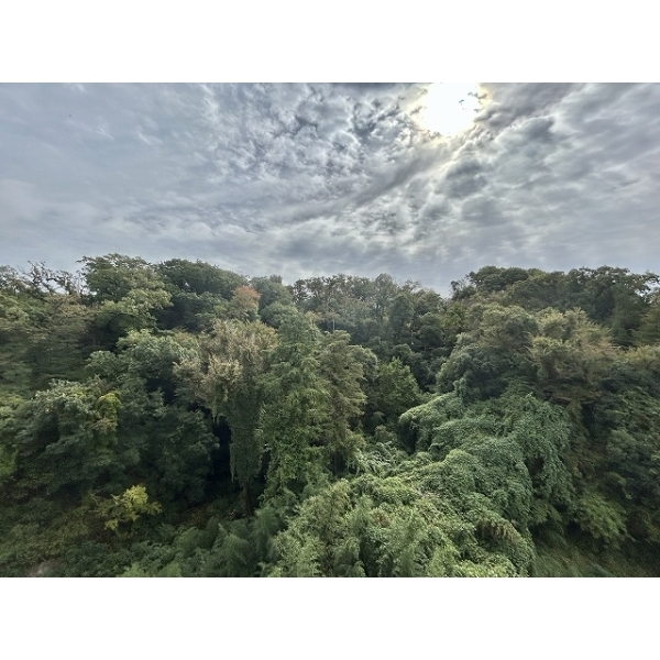 鎌倉関谷スカイハイツ その他画像