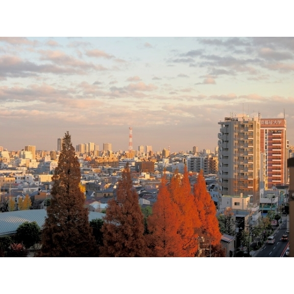 ワコー王子マンション その他画像