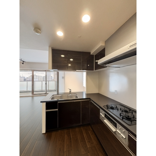 プレサンスグラン丸の内 その他画像