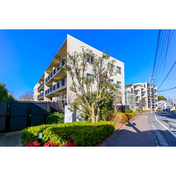 ザ・ライオンズ杉並善福寺川緑地 その他画像