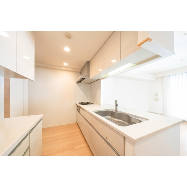 アピス川口幸町フィティア その他画像