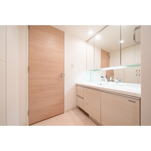 アピス川口幸町フィティア その他画像