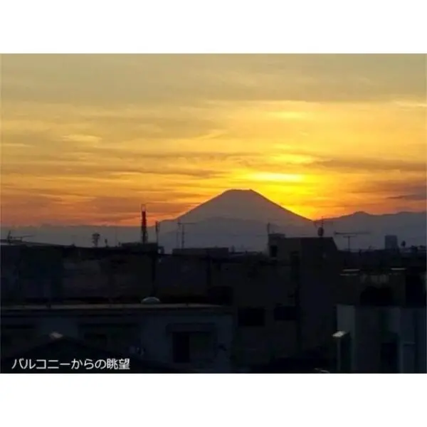 ナイスステージ川崎ウイング その他画像
