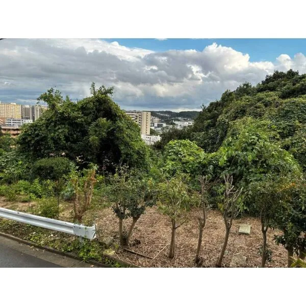 横浜市栄区本郷台２丁目 眺望：敷地内から