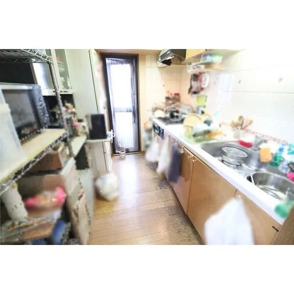 セザール第二上井草 キッチンからバルコニーへ出入り可能。換気に便利で、お部屋に匂いがこもりません。