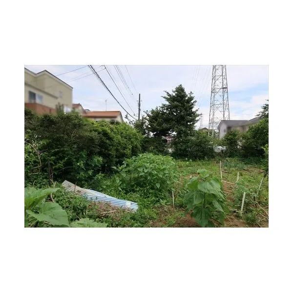 鎌ケ谷市鎌ケ谷９丁目 その他画像