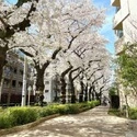 ザ・ガーデンズ東京王子カームコート その他画像