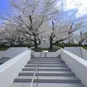 桜台ビレジ 外観