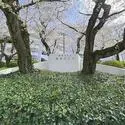 桜台ビレジ その他画像