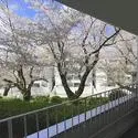 桜台ビレジ その他画像