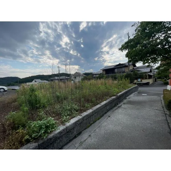 飯能市美杉台2丁目 現地