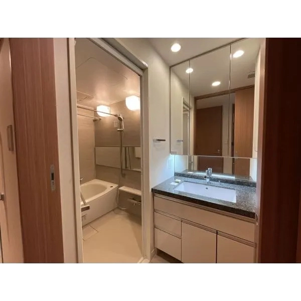 クリオ浅草橋 洗面室