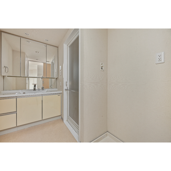 エストリオいには野 洗面室