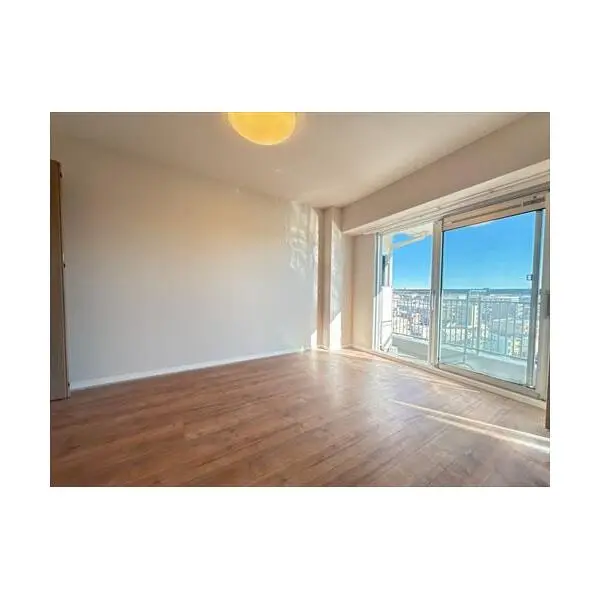 パークシテイ溝口 その他画像