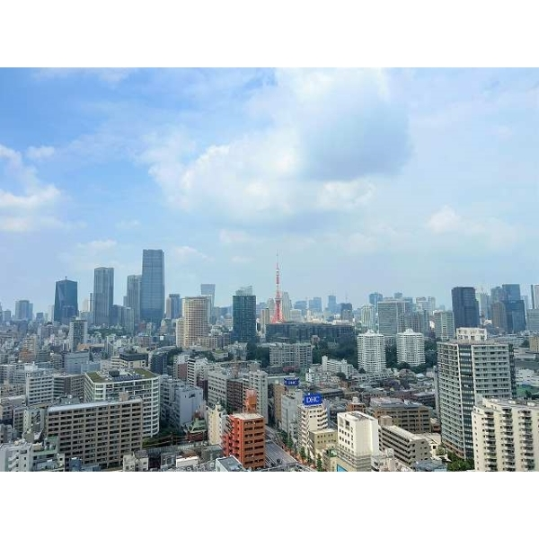 白金ザ・スカイ東棟 その他画像