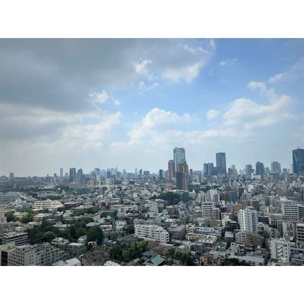 白金ザ・スカイ東棟 その他画像