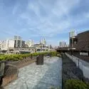 ライオンズガーデン初台 屋上庭園