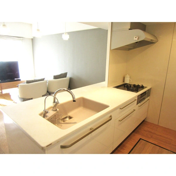 松戸中央公園パーク・ホームズ参番館 その他画像