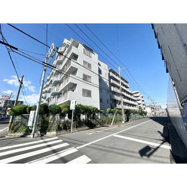 エバーグリーン川口 その他画像