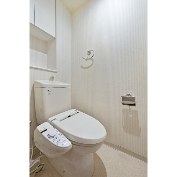 エムズシティ一宮グランステージ トイレ