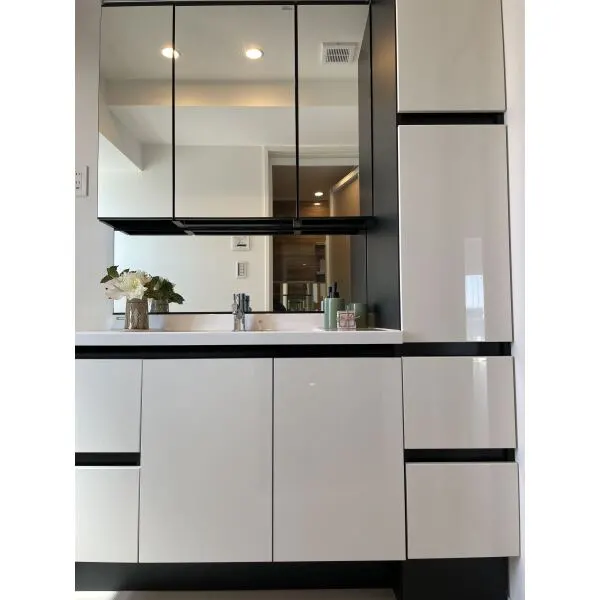 セザール南小岩 洗面室