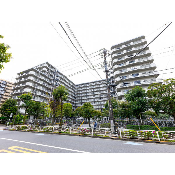 大島スカイハイツ 外観