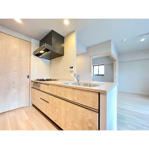 レーベン名古屋松重町ＧＲＡＮＤ　ＡＵＢＥ その他画像