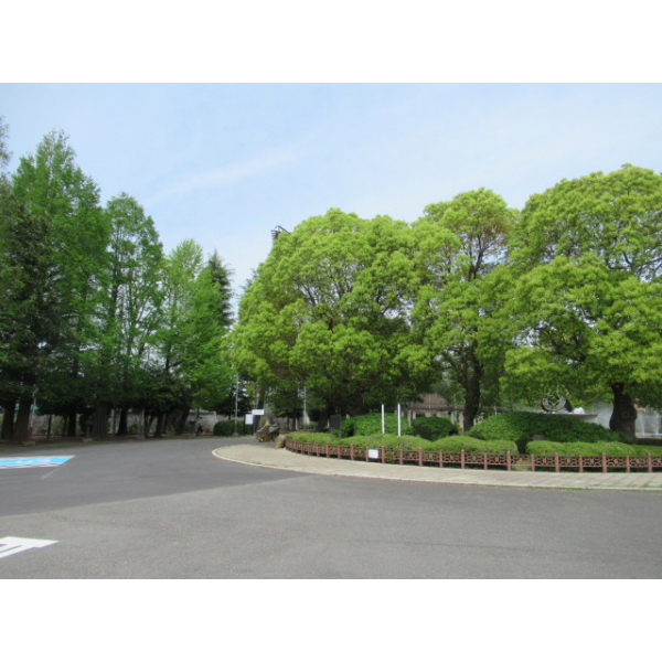 川口市西青木４丁目 その他画像