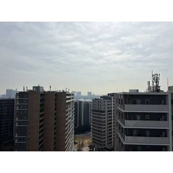 ＨＡＲＵＭＩ　ＦＬＡＧ　ＳＵＮ　ＶＩＬＬＡＧＥ その他画像