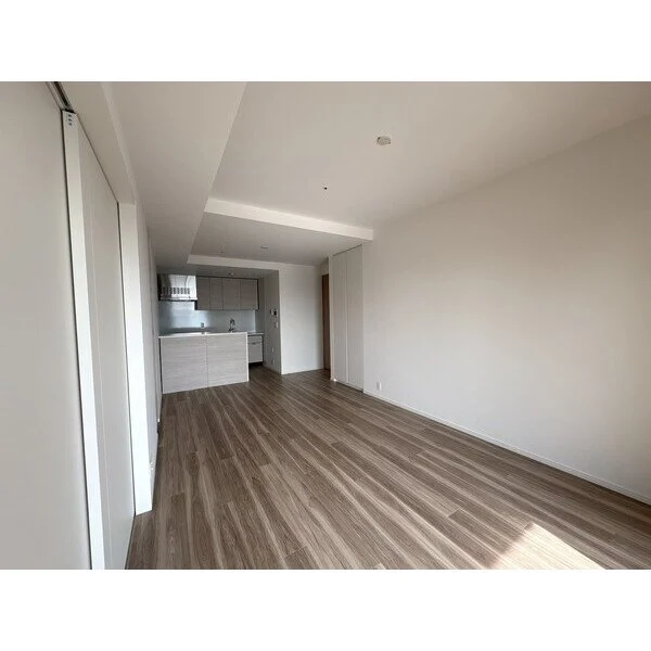 ＨＡＲＵＭＩ　ＦＬＡＧ　ＳＵＮ　ＶＩＬＬＡＧＥ その他画像