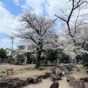 練馬区豊玉南１丁目 行殿公園（公園）まで約310m（徒歩4分）