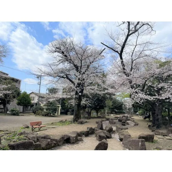 練馬区豊玉南１丁目 行殿公園（公園）まで約310m（徒歩4分）