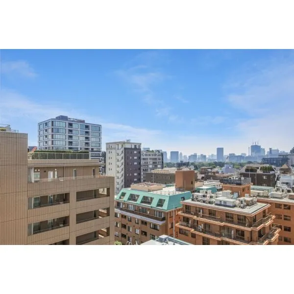 三番町パークテラス桜苑 バルコニー(洋室約10.1畳部分)からの眺望。