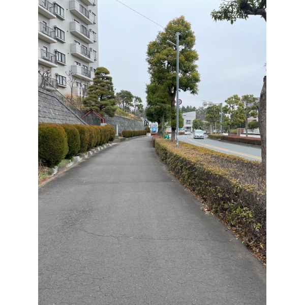 エステ・スクエア松風台 前面道路