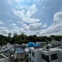 サンクレイドル目黒林試の森 その他画像