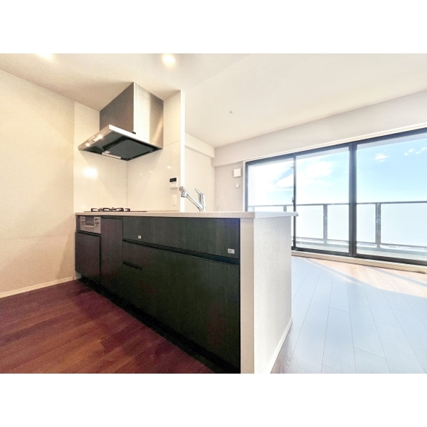 レーベン名古屋松重町ＧＲＡＮＤ　ＡＵＢＥ その他画像