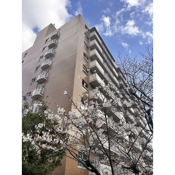 フジイチパークタワーズ 外観