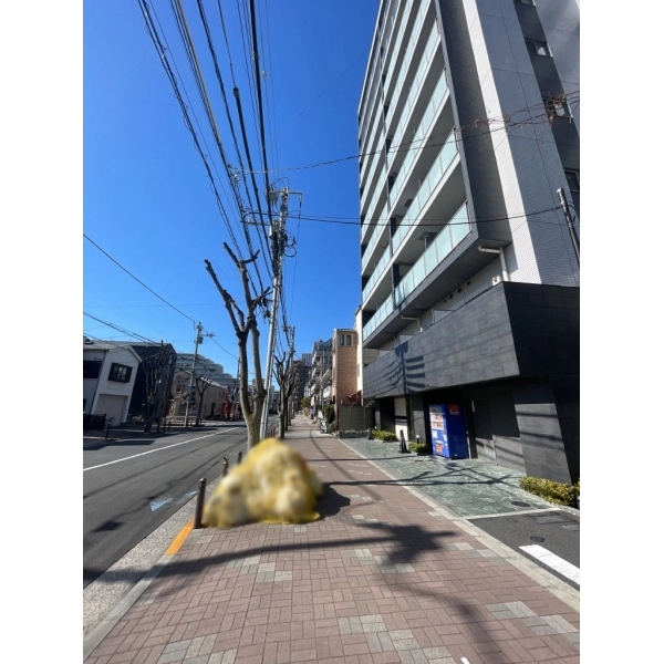 ガーラ・グランディ木場 前面道路