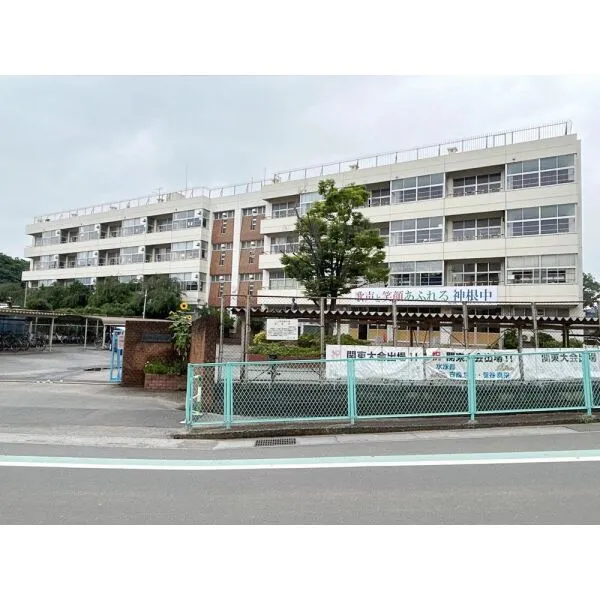 川口市大字差間 市立神根中学校(中学校)まで約3000m(徒歩38分)