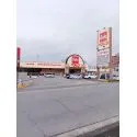 川口市大字差間 ベルク 川口差間店（スーパー）まで約210m（徒歩3分）