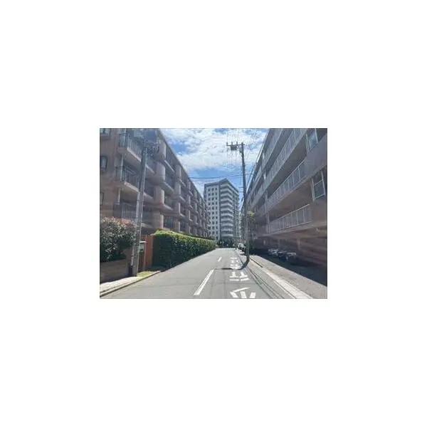 ライオンズマンション津田沼第７ その他画像