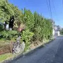 名古屋市昭和区広路町字梅園 その他画像
