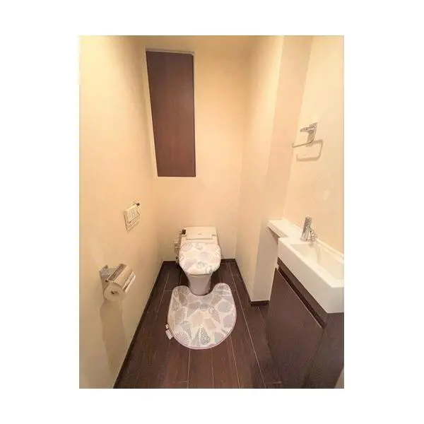 芝浦アイランドケープタワー その他画像