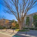 ブランズシティ世田谷中町エミネントフォレスト 外観