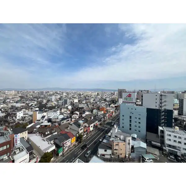 ザ・レジデンス寺田町駅前 その他画像