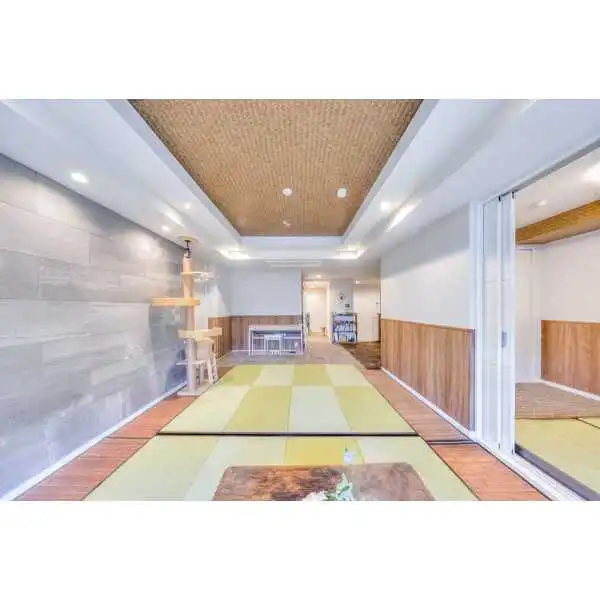 東急ドエル・プレステージ代々木公園 その他画像