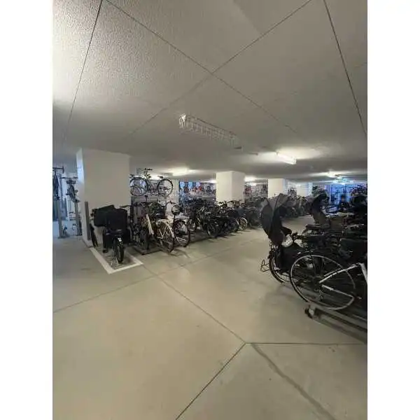 阿波座ライズタワーズ フラッグ46 その他画像