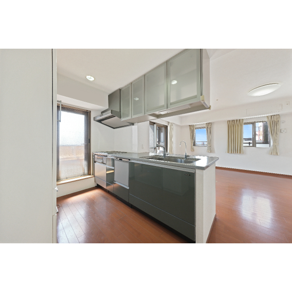 ライオンズマンション沢之町ガーデンタワー 家具・調度品は価格に含まれません。